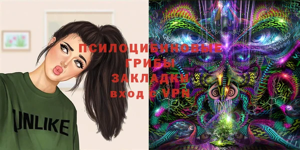 a pvp Алзамай