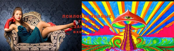 соль курить ск Алексин